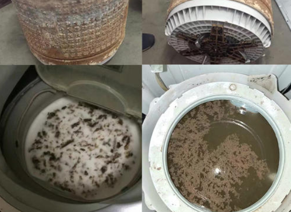 一般洗衣机用多久需要清洗和消毒